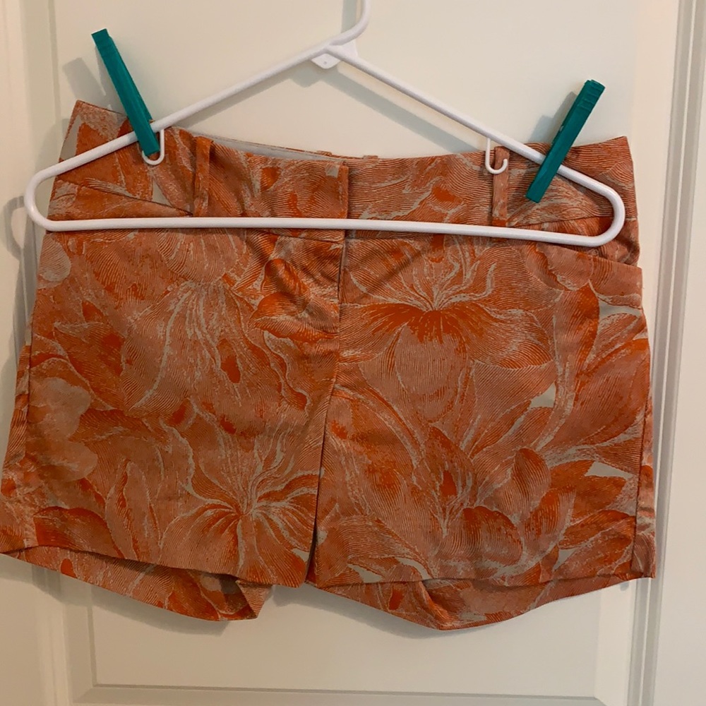 The Limited shorts